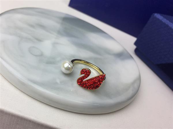 20242615450225 40404035